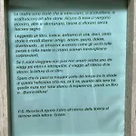 Vivina_081